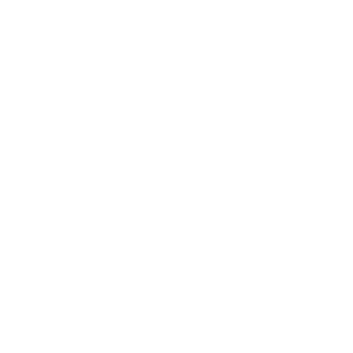 FIFA WC History